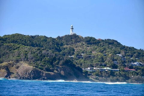 Julian Rocks Byron Bay Cruise - Australia Accommodation 7