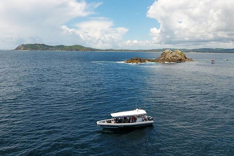 Julian Rocks Byron Bay Cruise - Australia Accommodation 0