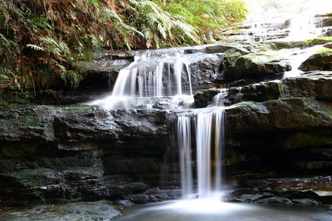 Private 10-hour Tour To Blue Mountains From Sydney - Hotel Pick Up & Drop Off - Australia Accommodation 6