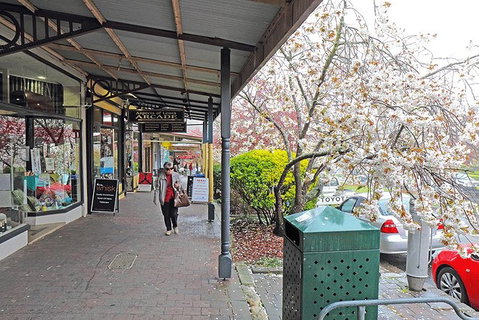 Blue Mountains Highlights, Wildlife Park And Scenic World Full Day Private Tour - Australia Accommodation 2