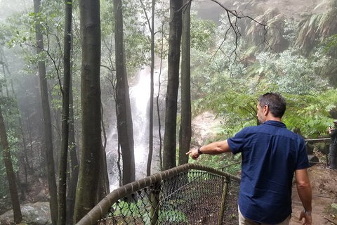 Blue Mountains Highlights, Wildlife Park And Scenic World Full Day Private Tour - Australia Accommodation 6