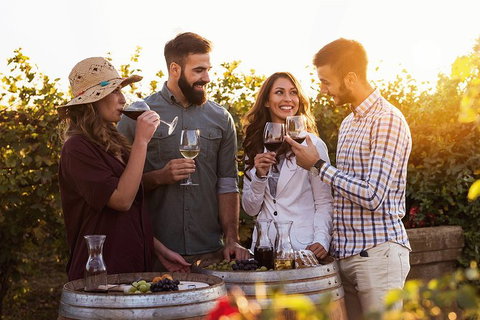 Hunter Valley Highlights Private Wine Tour From Sydney - Australia Accommodation 0