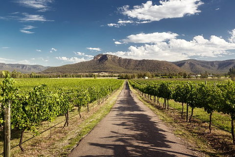 Hunter Valley Highlights Private Wine Tour From Sydney - Australia Accommodation 2