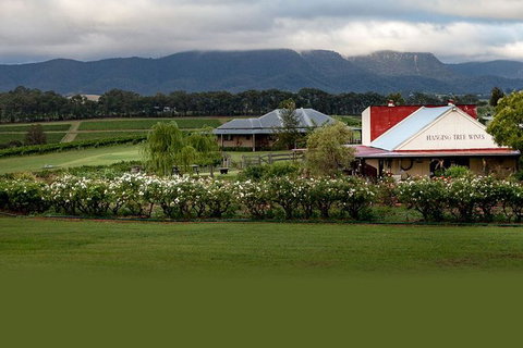 Hunter Valley Highlights Private Wine Tour From Sydney - Australia Accommodation 5