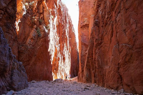 Best Of Alice Springs Full Day Tour - Australia Accommodation 6