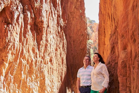 Best Of Alice Springs Full Day Tour - Australia Accommodation 4