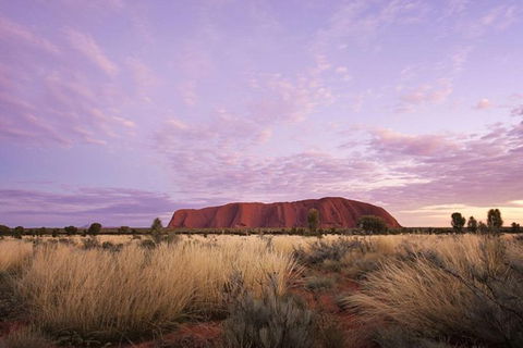Explore Uluru: 7 Hours Guide Tour At Sunrise With Light Breakfast - Australia Accommodation 4