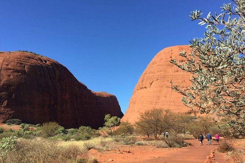 5-Hour Kata Tjuta Sunrise Tour From Ayers Rock With Breakfast - Australia Accommodation 2