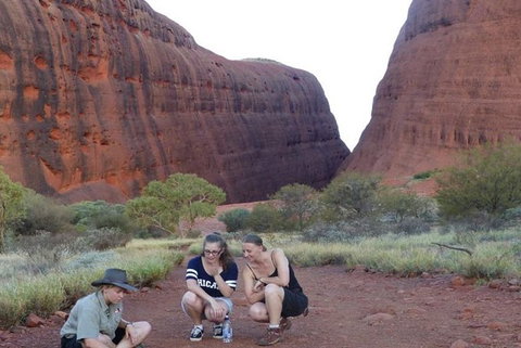 5-Hour Kata Tjuta Sunrise Tour From Ayers Rock With Breakfast - Australia Accommodation 3