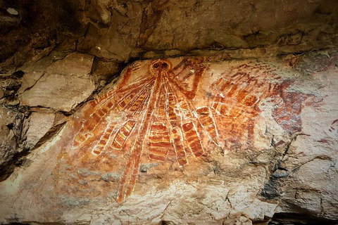 Arnhem Land Injalak Hill Full-Day Tour From Darwin - Australia Accommodation 1