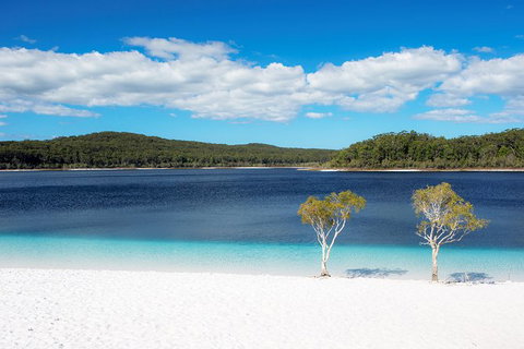 All-Inclusive Fraser Island Day Tour - Australia Accommodation 2