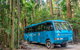 All-Inclusive Fraser Island Day Tour - thumb 0