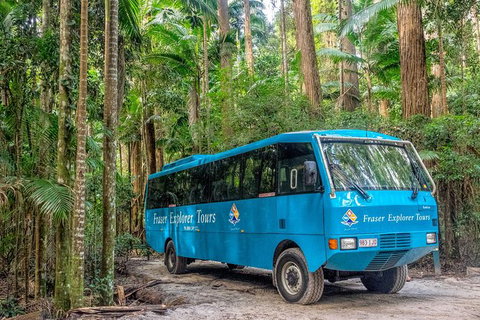 All-Inclusive Fraser Island Day Tour - Australia Accommodation 0