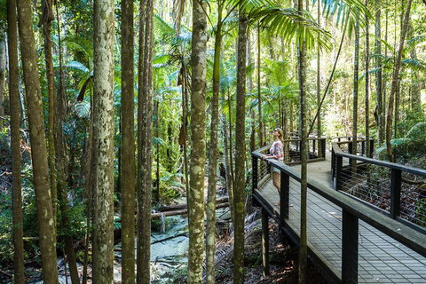 All-Inclusive Fraser Island Day Tour - Australia Accommodation 7