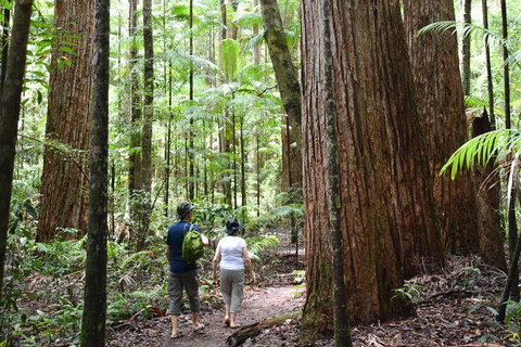 All-Inclusive Fraser Island Day Tour - Australia Accommodation 6