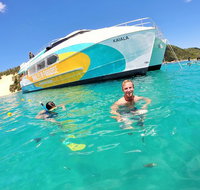 All Inclusive Dolphin and Tangalooma Wrecks Cruise - Australia Accommodation