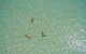 Remote Fraser Island Experience - thumb 6