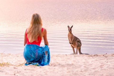 Serenity Cruise To Australia\'s Everglades - Australia Accommodation 10