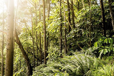 Serenity Cruise To Australia\'s Everglades - Australia Accommodation 8