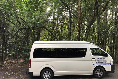 Springbrook And Mt Tamborine Adventure Tour - Bring The Kids!! - Australia Accommodation 7