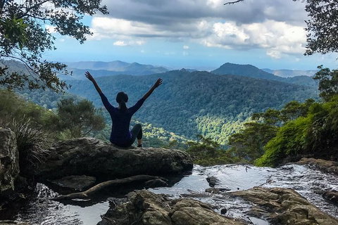 Springbrook And Mt Tamborine Adventure Tour - Bring The Kids!! - Australia Accommodation 6
