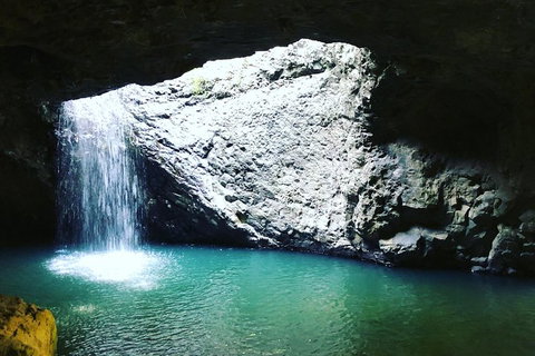 Springbrook And Mt Tamborine Adventure Tour - Bring The Kids!! - Australia Accommodation 2