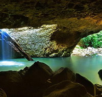 Springbrook and Mt Tamborine Adventure Tour - Bring the Kids - Australia Accommodation