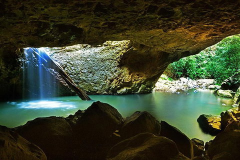 Springbrook And Mt Tamborine Adventure Tour - Bring The Kids!! - Australia Accommodation 0