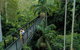 Springbrook And Mt Tamborine Adventure Tour - Bring The Kids!! - thumb 4