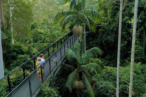 Springbrook And Mt Tamborine Adventure Tour - Bring The Kids!! - Australia Accommodation 4