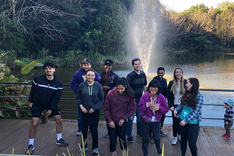 Springbrook And Mt Tamborine Adventure Tour - Bring The Kids!! - Australia Accommodation 12