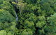 Springbrook And Mt Tamborine Adventure Tour - Bring The Kids!! - thumb 10