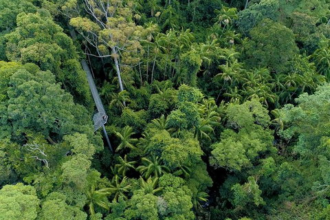 Springbrook And Mt Tamborine Adventure Tour - Bring The Kids!! - Australia Accommodation 10