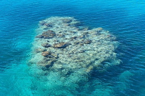 Lady Musgrave Day Trip From Bundaberg Including Snorkeling, Glass Bottom Tour And Guided Island Walk - Australia Accommodation 2