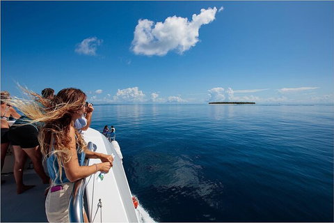 Lady Musgrave Day Trip From Bundaberg Including Snorkeling, Glass Bottom Tour And Guided Island Walk - Australia Accommodation 4