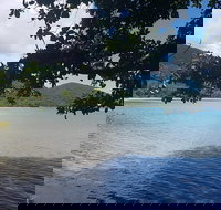 Full Day Tour in the Daintree - Australia Accommodation