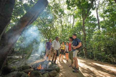 Aboriginal Cultural Daintree Rainforest Tour From Cairns Or Port Douglas - Australia Accommodation 3