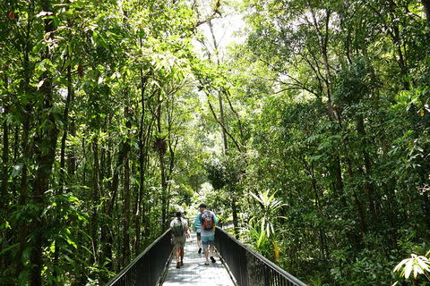 Aboriginal Cultural Daintree Rainforest Tour From Cairns Or Port Douglas - Australia Accommodation 4