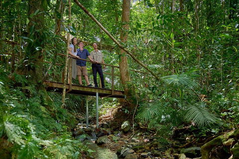 Daintree And Cape Tribulation Tour From Cairns - Australia Accommodation 3