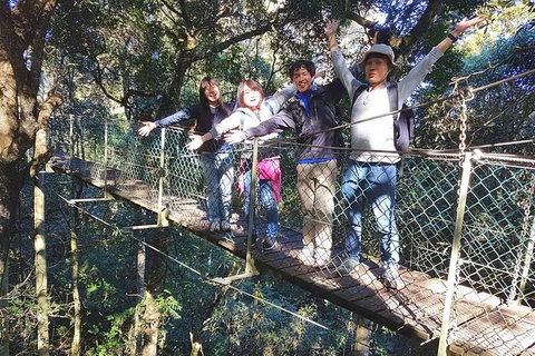 Private Tour - Australia Accommodation 11