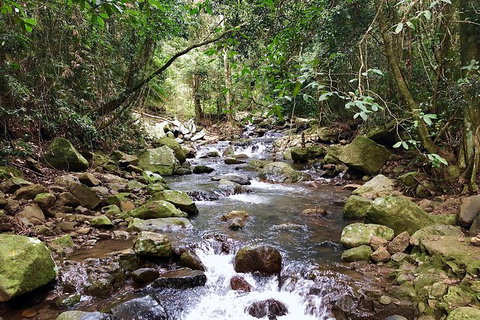 Private Tour - Australia Accommodation 13