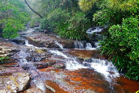 Private Tour - Australia Accommodation 2
