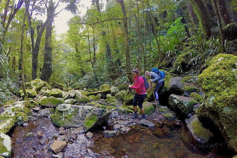 Private Tour - Australia Accommodation 7