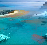 Wavedancer Low Isles Great Barrier Reef Sailing Cruise from Cairns - Australia Accommodation