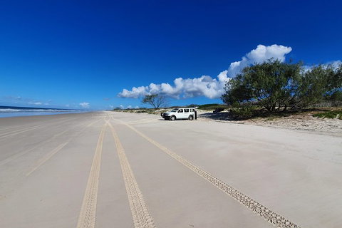Bribie Island Beach & Bunker Tour - Australia Accommodation 2