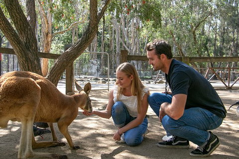 Currumbin Wildlife Sanctuary General Entry Ticket - Australia Accommodation 1