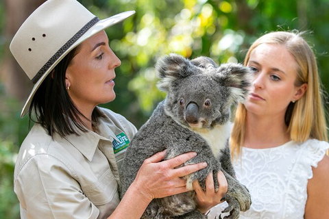 Currumbin Wildlife Sanctuary General Entry Ticket - Australia Accommodation 6