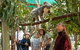 Currumbin Wildlife Sanctuary General Entry Ticket - thumb 14