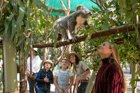 Currumbin Wildlife Sanctuary General Entry Ticket - Australia Accommodation 14