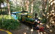 Currumbin Wildlife Sanctuary General Entry Ticket - thumb 13